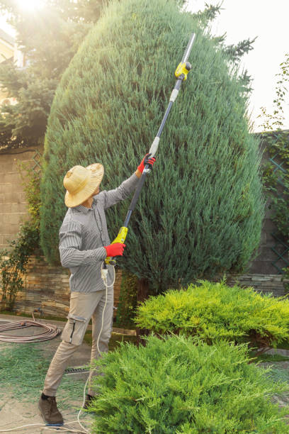 Lawn Watering Services in Billington Heights, NY